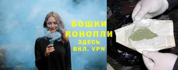сатива Касимов