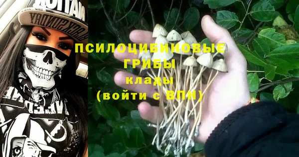 сатива Касимов