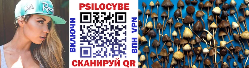 Галлюциногенные грибы Psilocybine cubensis  Устюжна 