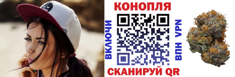 Шишки марихуана сатива  сколько стоит  Устюжна 